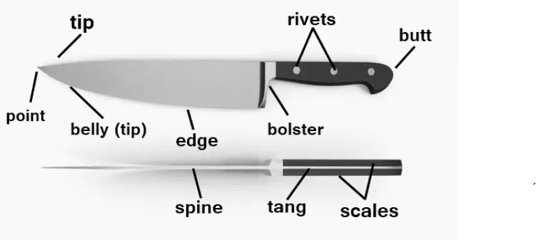 Essential Parts of a Kitchen Knife
